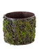 The 6 Green and Brown Log with Moss Pot (2370144GB) combines rustic charm with a shiny interior, offering an earthy appearance enhanced by green moss and textured contrasts for a natural, weathered aesthetic.