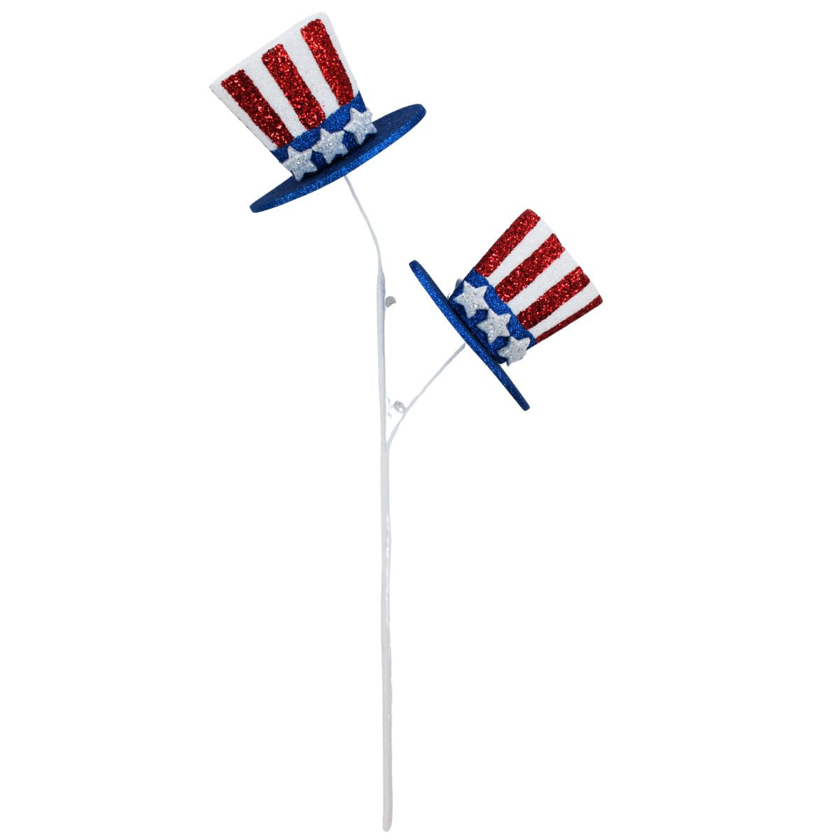 Patriotic & Americana