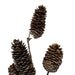 Close-up of brown pinecones with layered scales and a subtle frosted finish on the 28-inch pinecone spray, XS47124-083.