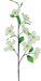H41 Cream Dogwood Spray 29363CM