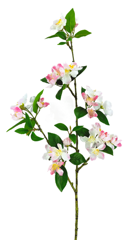 The 35 Cream and Pink Crab Apple Blossom Spray (29475CMPK) features a blooming branch with cream and pink flowers and vibrant green leaves on a clear background. Delicate blossoms are scattered along the stem, creating an elegant display.
