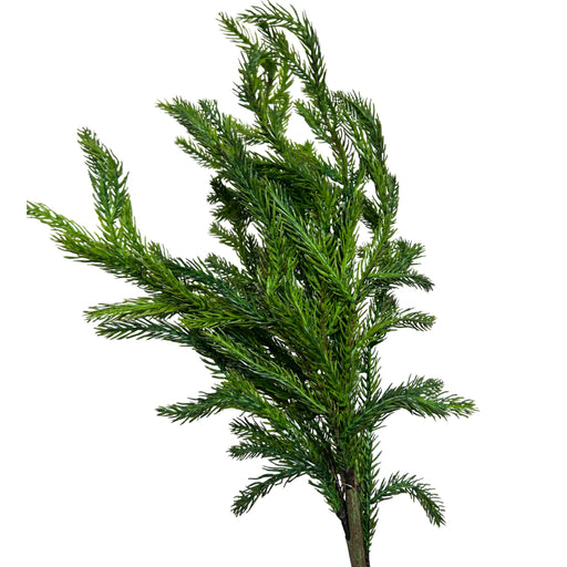 31-inch cedar pine greenery spray with long, wispy green branches for Christmas wreaths and winter floral arrangements, XS61486-063.