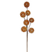 The 20" Faux Orange Slices Spray 31362 is a decorative metal sculpture featuring seven circular discs in cream and orange tones with radial patterns that resemble faux orange slices. These discs are arranged on slender branches, creating an abstract tree-like shape against a plain white background.