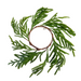 The 17 Soft Touch Evergreen Norfolk Pine Wreath 31853 features green pine branches and brown twine, arranged on a white background with outward-fanning needles for a festive, natural look.