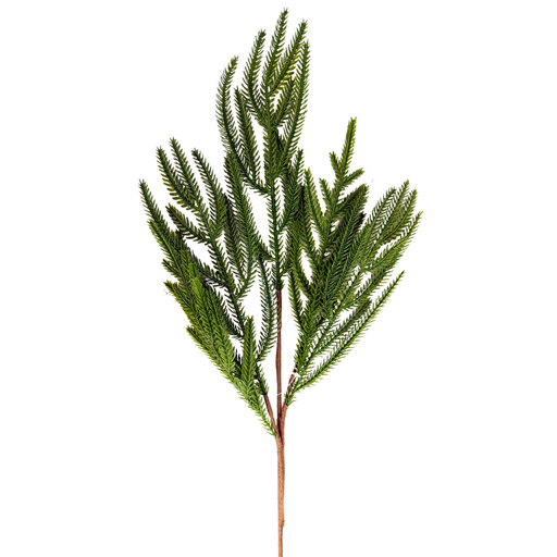 The 24 Evergreen Soft Touch Norfolk Pine Spray (31855) features feathery, needle-like leaves that fan out elegantly, capturing the look of a real Norfolk Pine branch against a white background.