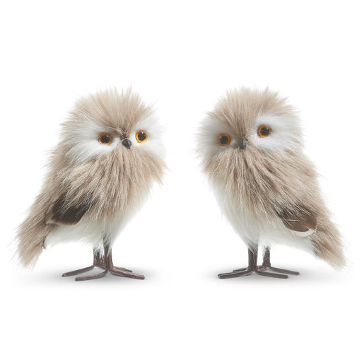 Two fluffy, lifelike 5" Grey Owl Ornaments (4303465) with brown wire legs and yellow eyes stand side by side, part of the charming Raz Holly & Pine Collection, against a white background.