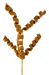 Three brown frizzy curly picks, each with five spiral stems, from the 16 Brown Frizzy Curly Pick with 5 Stems (57063BN), are arranged on a single stem against a solid black background.