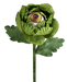 The 24" by 7" Green Eyeball Flower Stem (57141GN) is perfect for adding a unique touch to your decor.