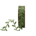 A spool of 1 Inch Green Ultra Sonic Trim Vine with Leaves Ribbon 6203-552-25E, featuring leafy cutout details, perfect for wreaths or gift wrapping, displayed against a white background.