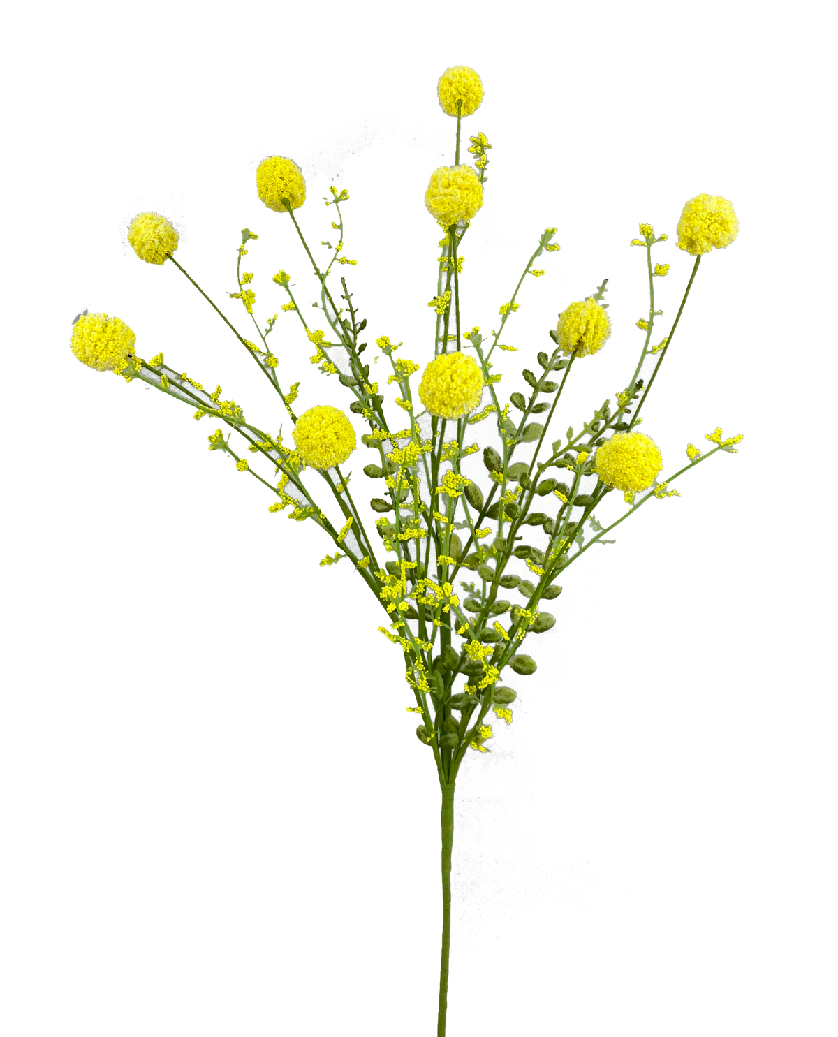 30" Yellow Snowball Allium Bush 63095YW — Trendy Tree