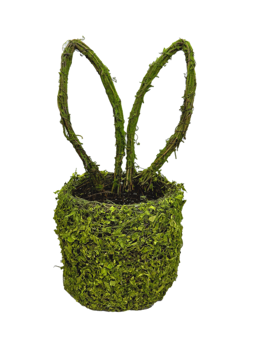 H14xW6 Green Moss Bunny Ears Basket 63656GN