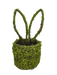 H14xW6 Green Moss Bunny Ears Basket 63656GN