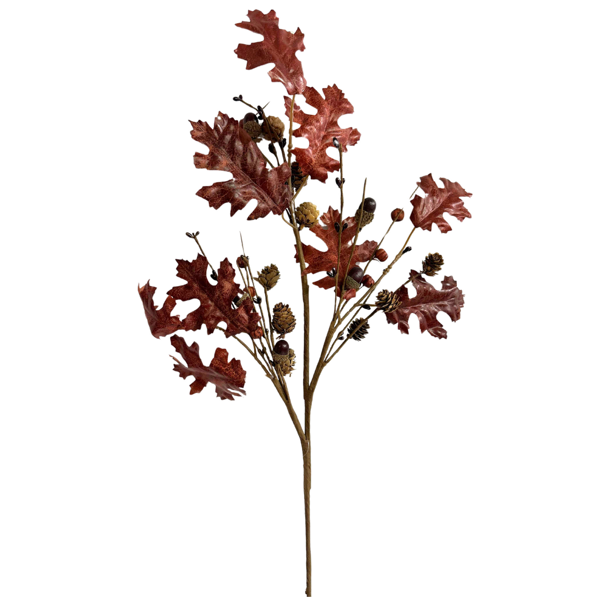 Seasonal — Page 3 — Trendy Tree