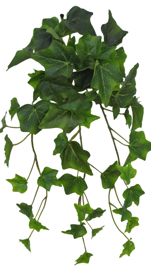 The 15 Dark Green Real Touch Mini Ivy features lush, dark green triangular leaves and trailing vines, highlighted against a plain background.