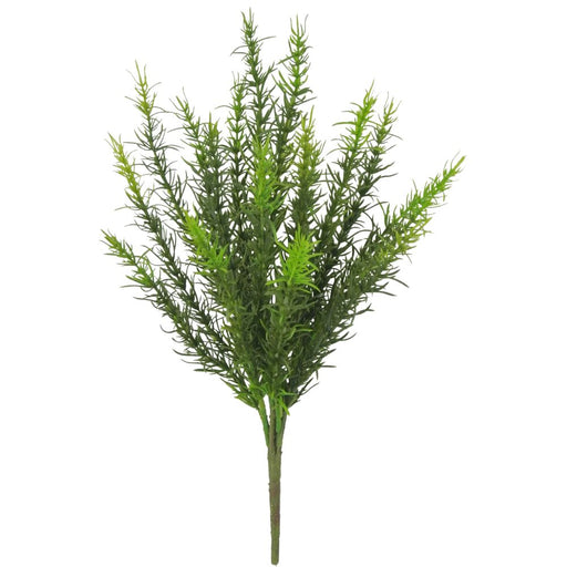 80261-dark-green-plastic-sprengeri-bush