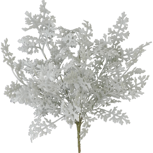 Against a black backdrop, the intricately textured 16 Dusty Miller (product code: 81547) with 8 stems resembles fern-like patterns in an artful display of artificial seaweed.