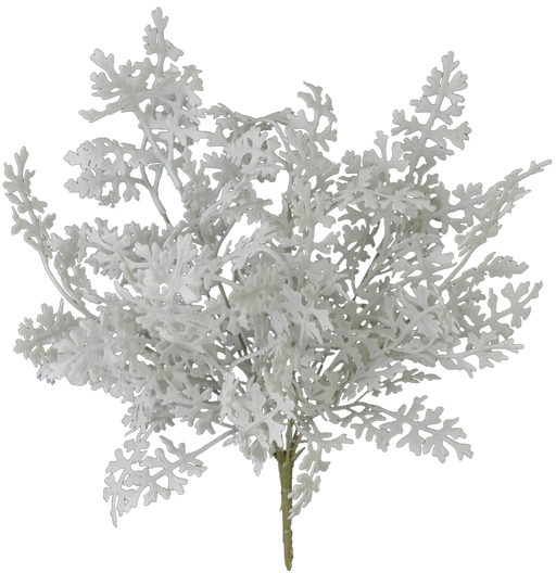 Against a black backdrop, the intricately textured 16 Dusty Miller (product code: 81547) with 8 stems resembles fern-like patterns in an artful display of artificial seaweed.