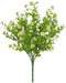 A 17 Filler Bush Green, featuring nine stems with small white flowers and delicate green leaves, creates a lush bouquet. The blooms resemble a Green Filler Bush, and the transparent background enhances their vibrant beauty.