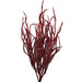 A bundle of 22 Red Willow with Glittered 82841-RD branches, long and narrow with a sparkling finish, is fanned out against a white background.