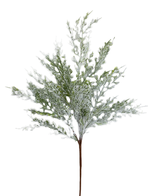The 29 White Cedar Spray with 7 Stems (85723WT) features lacy, silvery-green, fern-like leaves on a thin brown stem, perfect for creating full arrangements and beautifully isolated against a white background.
