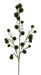 The H36 Green Pom Pom Twig Spray 86303GN features a single tall stem with thin branches, each ending in round, spiky green clusters, making it a vibrant accent when displayed against a white background.