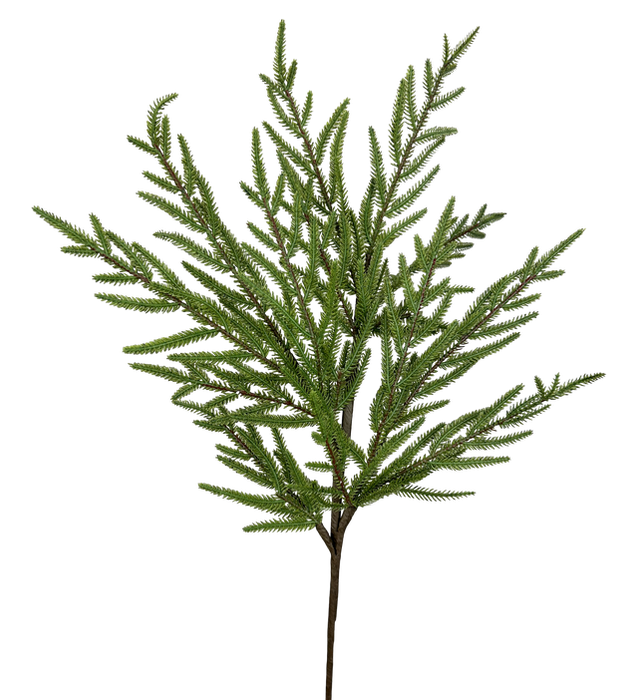 The 30 Green Fir Spray 86384GN features thin, needle-like leaves that fan out in multiple directions, presented on a transparent background.