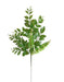 The Green Mountain Laurel and Fern Spray (E66251160) features 8 branches and various leaf sizes, measuring 20.5 inches—ideal as a greenery filler for deco mesh wreaths. Isolated on a white background.