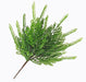 The Picket Fern Bush – Plastic Leaves – 13 Stems – 18 Inches (E66251166) features slender, bright green fronds and a brown stem, perfect as greenery filler for wreath making and displayed against a plain white background.