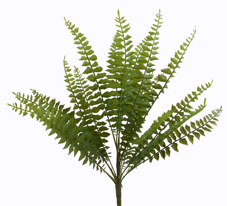The Green Fern Bush – Plastic Leaves – 18 Stems – 18 Inches (E66261614) features multiple long, slender fronds branching out in a fan shape, making it an ideal greenery filler for floral arrangements.
