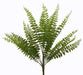 The Green Fern Bush – Plastic Leaves – 18 Stems – 18 Inches (E66261614) features multiple long, slender fronds branching out in a fan shape, making it an ideal greenery filler for floral arrangements.