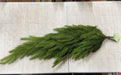 A 36" Real Touch Forest Pine Teardrop (MTX75587) with long, green, feathery foliage rests on a white scratched tabletop. A price tag labeled $6 is attached to its stems.