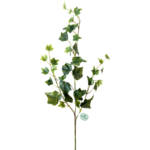 A 25 Green English Garden Ivy Spray (MTF24582) features realistic green ivy leaves in various sizes on slender stems, with a small circular tag reading Green MTF24582 against a plain white background.