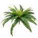 artificial boston fern bush E66251221