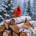 Male and female cardinal pair perched on snowy white birch logs with falling snow and evergreen trees in the background