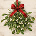 Christmas mistletoe metal sign featuring a bundle of mistletoe with white berries tied with a rich red velvet bow. Exclusive Trendy Tree Design. SKU TTE-554.