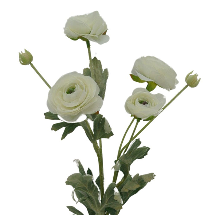 26" Cream Ranunculus Spray 84072-Cr