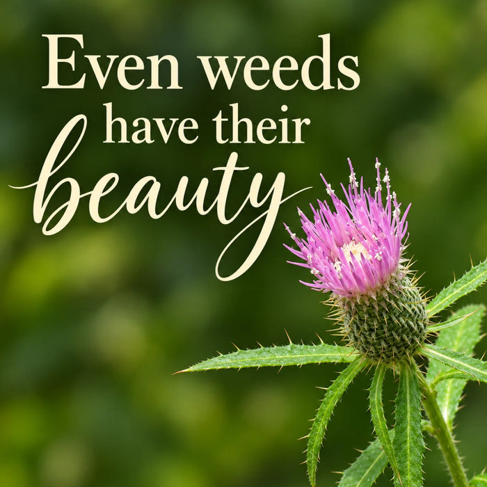 Flat metal sign TTE-894 featuring a pink thistle flower against a soft green background with the words Even Weeds Have Their Beauty.