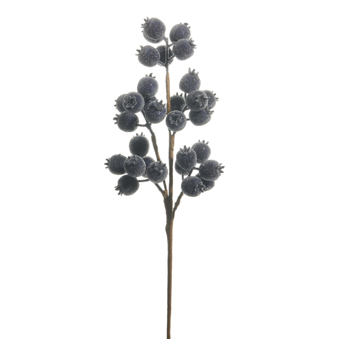A single 21″ brown stem featuring small clusters of dark blue berry pods dusted with an icy, frosted coating, reminiscent of real blueberries, isolated on a white background. The RAZ Enchanted Forest F4506761 Iced Blue Berry Pod Spray is perfect for adding a wintry touch to Christmas wreaths or enhancing seasonal arrangements from the Enchanted Forest Collection.