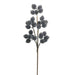 A single 21″ brown stem featuring small clusters of dark blue berry pods dusted with an icy, frosted coating, reminiscent of real blueberries, isolated on a white background. The RAZ Enchanted Forest F4506761 Iced Blue Berry Pod Spray is perfect for adding a wintry touch to Christmas wreaths or enhancing seasonal arrangements from the Enchanted Forest Collection.