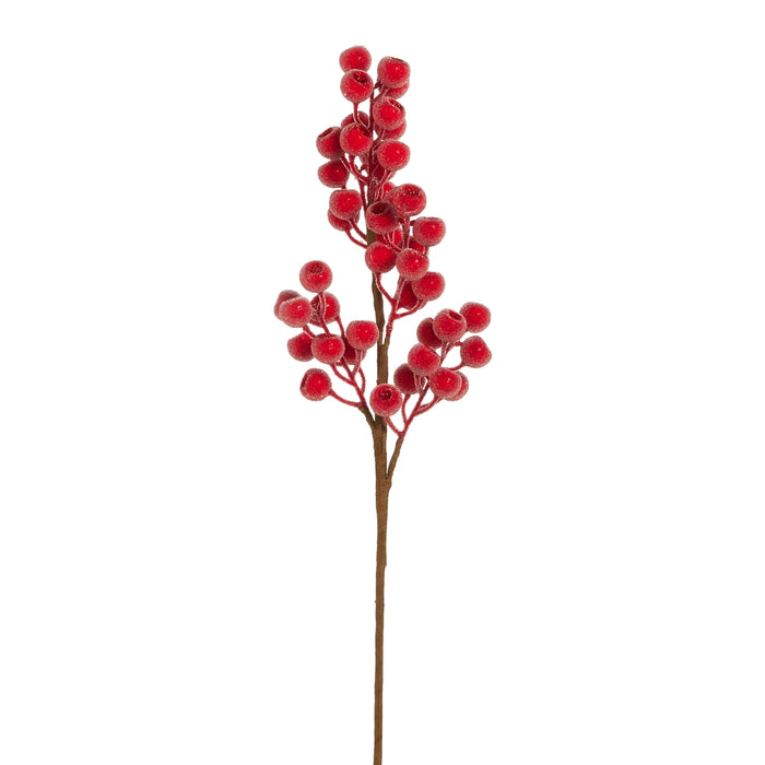 A single brown stem adorned with clusters of small, round, bright red berries dusted in a sugared, glittery finish—this 25″ Sugared Bright Red Berry Spray from the RAZ Enchanted Forest F4602591 collection makes a festive Christmas accent, beautifully showcased against a white background.