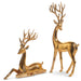 Elevate your holiday décor with the Set of 2 Gold Christmas Deer by RAZ (4512106), featuring one standing and one sitting gold reindeer figurine, each with majestic antlers—ideal for Christmas decorating or as festive gold deer accents against a white background.