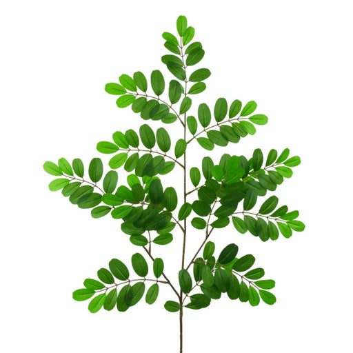 Tall green pistacia spray with 154 rounded leaves on branching stem, 27 inches in height