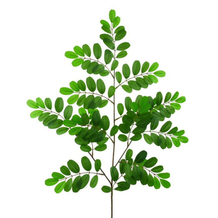 Tall green pistacia spray with 154 rounded leaves on branching stem, 27 inches in height