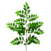 Tall green pistacia spray with 154 rounded leaves on branching stem, 27 inches in height