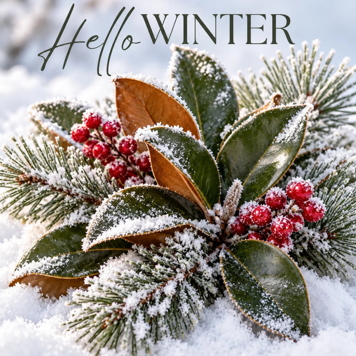 Hello Winter flat metal wreath sign featuring snow-covered magnolia leaves, frosted pine branches, and bright red berries nestled in fresh snow. TTE-877.