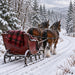 Flat metal winter sign featuring two brown draft horses with feathered legs pulling a vintage wooden sleigh along a snowy woodland road. A red and black plaid blanket hangs over the sleigh, surrounded by snow-covered evergreen trees and a winding winter path. TTE-864.
