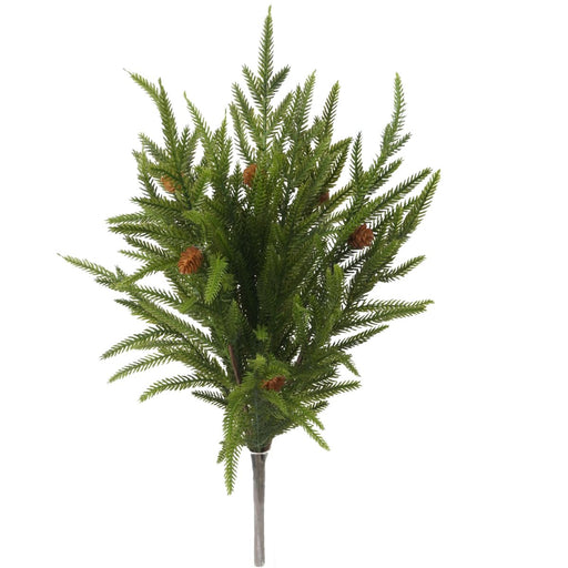Green Norfolk pine bush with 17 stems and miniature pinecones, 20.5 inches.