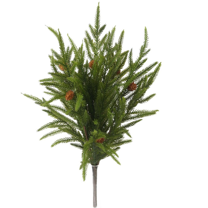 Green Norfolk pine bush with 17 stems and miniature pinecones, 20.5 inches.