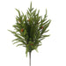 Green Norfolk pine bush with 17 stems and miniature pinecones, 20.5 inches.
