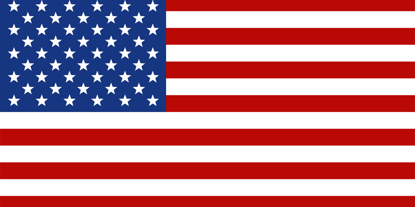 12"x6" Trendy Tree American Flag Rectangle Metal Sign TT-131